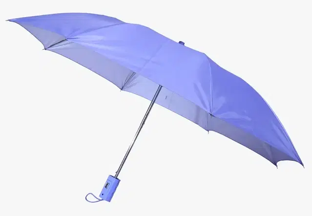 CITIZEN 2 Fold Umbrella for Men and Women, 21" MS Purple