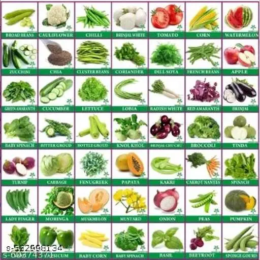 50 Varieties Non-Gmo Best Quality Vegetables Seeds Combo Pack Best For Home Garden