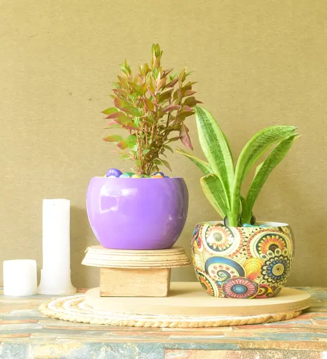 Metal Planter for Home, Multicolor, Pack of 2