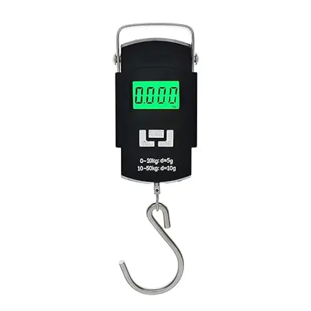 Portable Mini Electronic Hanging Weighing Scale, Black