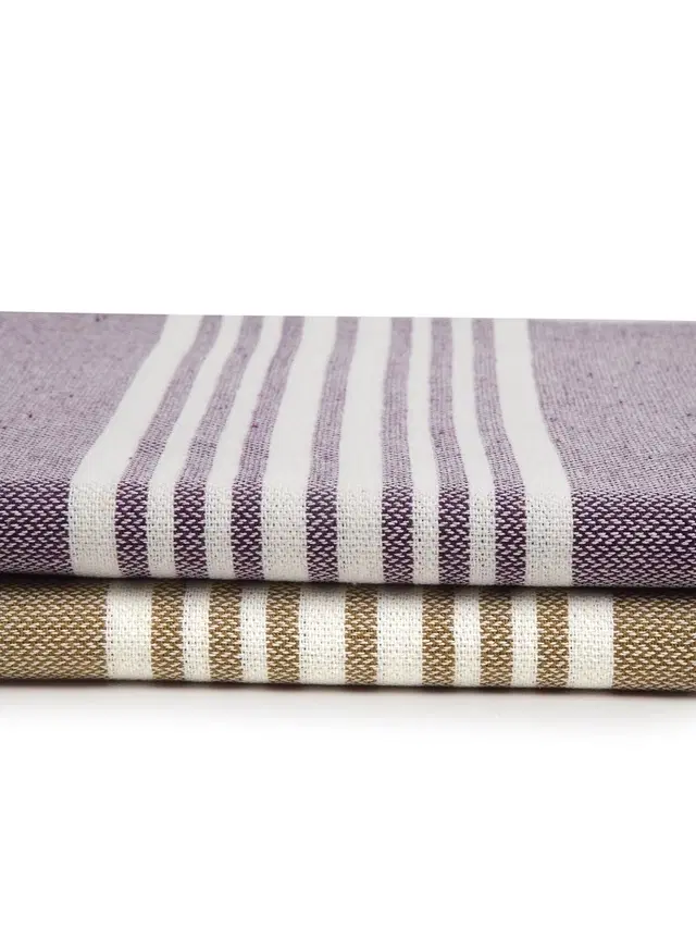 Cotton High Absorbent Bath Towels, Multicolor, Pack of 2