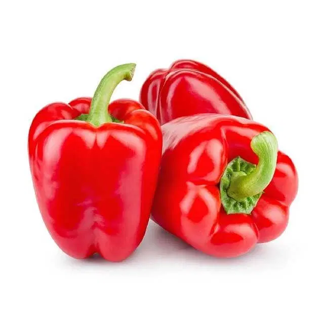Seeds of Organic Red Capsicum Vegetable, Pack Of 50
