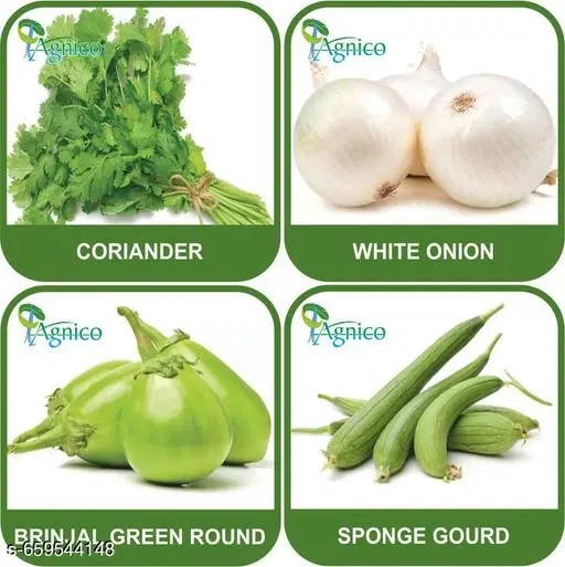 4 Vegetable Seeds Combo With Instruction Manual(Coriander/White Onion/Brinjal Green Round/Sponge Gourd)