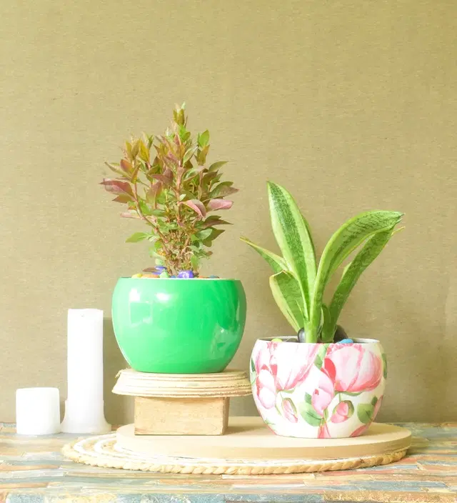 Metal Planter for Home, Multicolor, Pack of 2