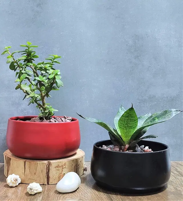 Metal Planter for Home, Red & Black, Pack of 2