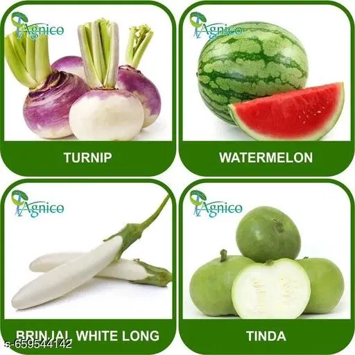 4 Vegetable Seeds Combo With Instruction Manual(Turnip/Tinda/Brinjal White Long/Watermelon)