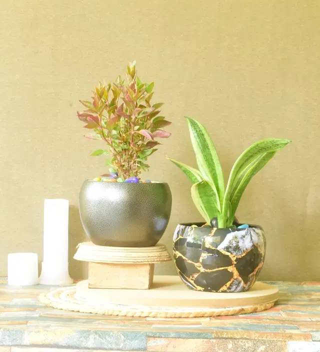 Metal Planter for Home, Multicolor, Pack of 2