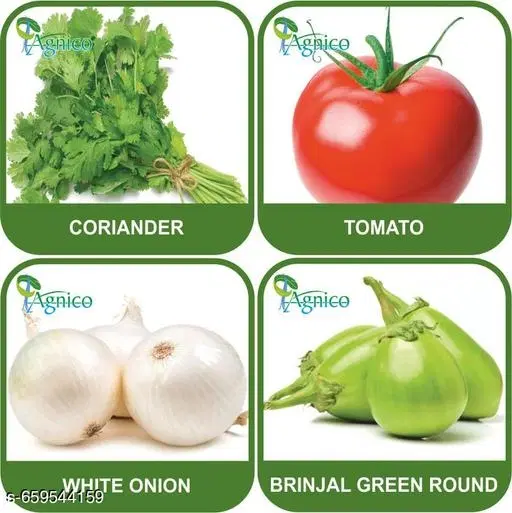 4 Vegetable Seeds Combo With Instruction Manual(Coriander/Tomato/White Onion/Brinjal Green Round)