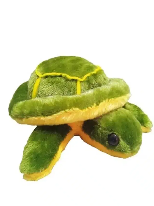 Turtle Soft Toy, Green