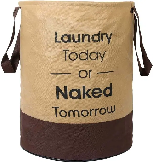 RAJ BAG 45 L Beige, Brown Laundry Bag, Non Woven, Pack of 1