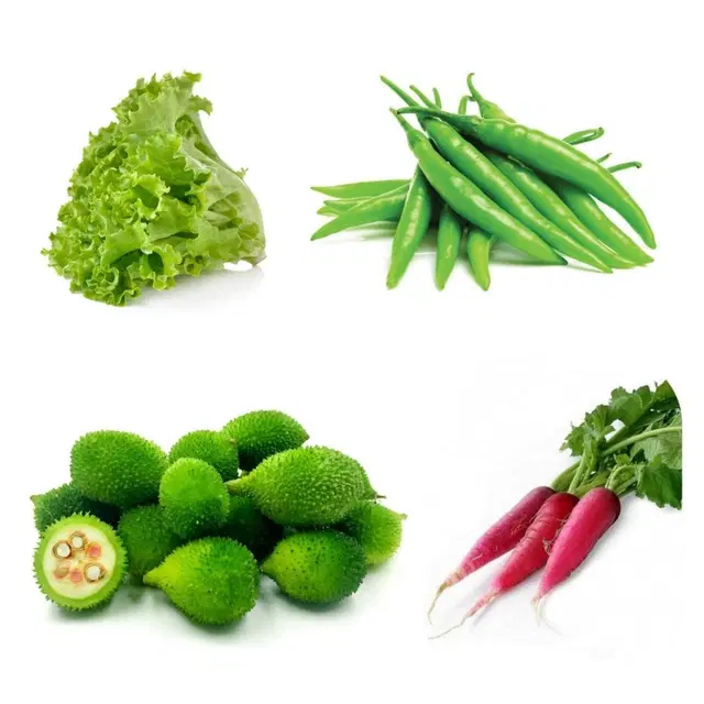 Jignisha Seeds 4 Type of Desi Vegetable Seeds, Red, Set of 1