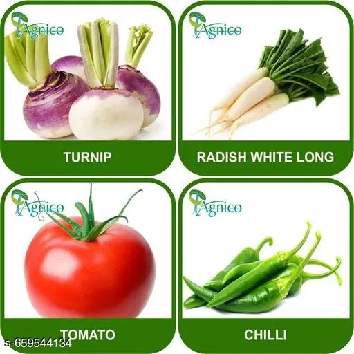 4 Vegetable Seeds Combo With Instruction Manual(Turnip/Radish White Long/Tomato/Chilli)