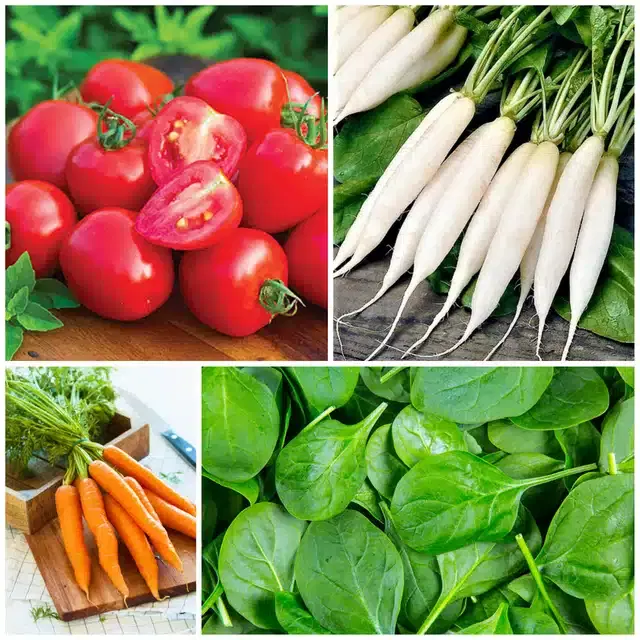 4 Variety of Vegetable Seeds, Combo of 4