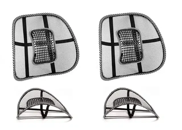 Universal Back Lumbar Support for Chair, Multicolor, Pack of 2