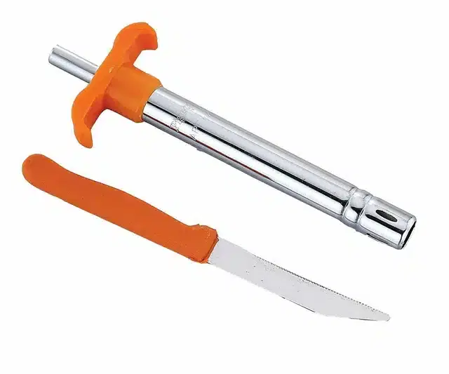 Stainless Steel Kitchen Gas Lighter & Knife, Set Of 2, Multicolor