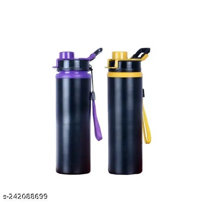Stainless Steel Water Bottle, Multicolor, 750 ml, Pack of 2