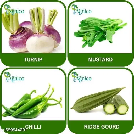 4 Vegetable Seeds Combo With Instruction Manual(Turnip/Chilli/Mustard/Ridge Gourd)