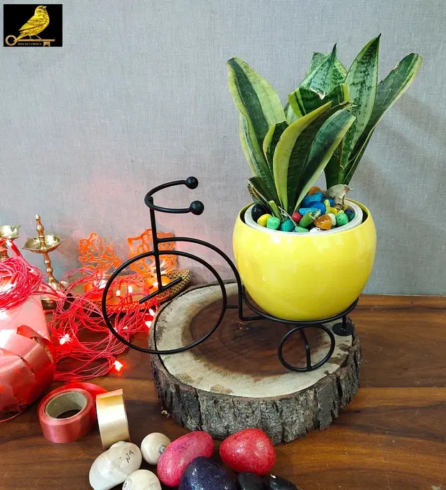 Metal Planter for Home, Black & Yellow, Pack of 2