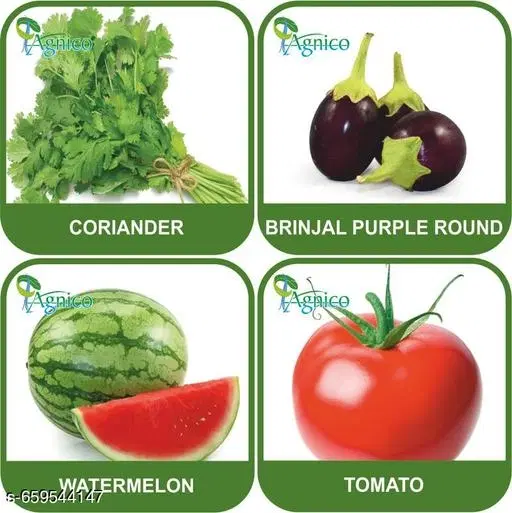 4 Vegetable Seeds Combo With Instruction Manual(Coriander/Brinjal Purple Round/Watermelon/Tomato)