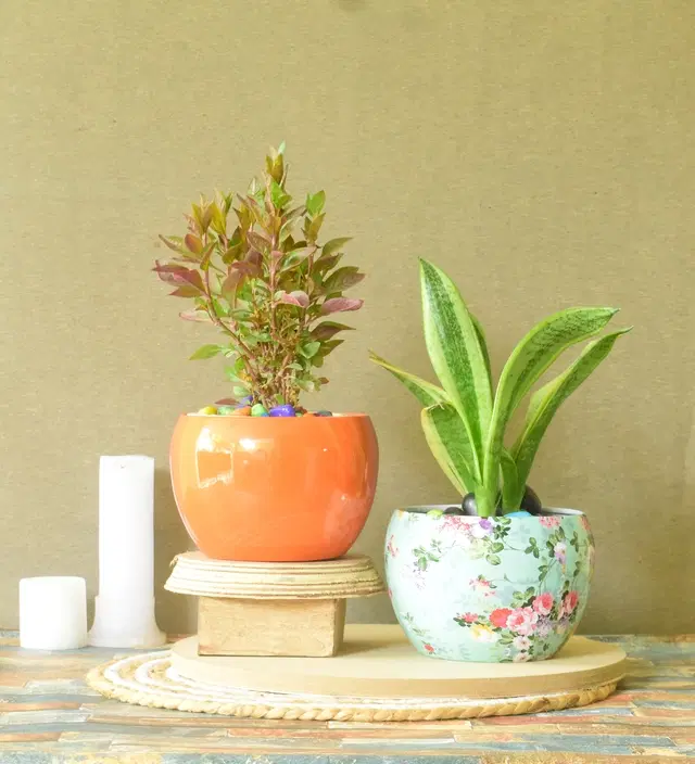 Metal Planter for Home, Multicolor, Pack of 2