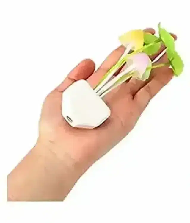 K Kudos Mushroom Light