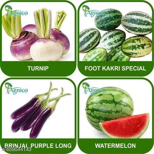 4 Vegetable Seeds Combo With Instruction Manual(Turnip/Foot Kakri Special/Brinjal Purple Long/Watermelon)