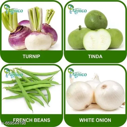 4 Vegetable Seeds Combo With Instruction Manual(Turnip/Tinda/French Beans/White Onion)
