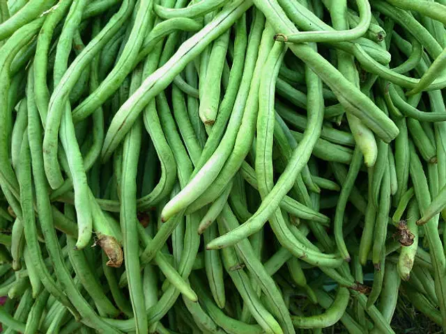 Cowpea Beans Vegetable Seeds, Pack of 50