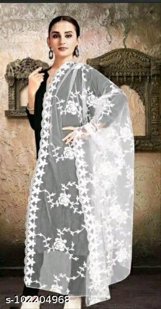 Embroidered Punjabi Net with Aari Work (White, Free Size)