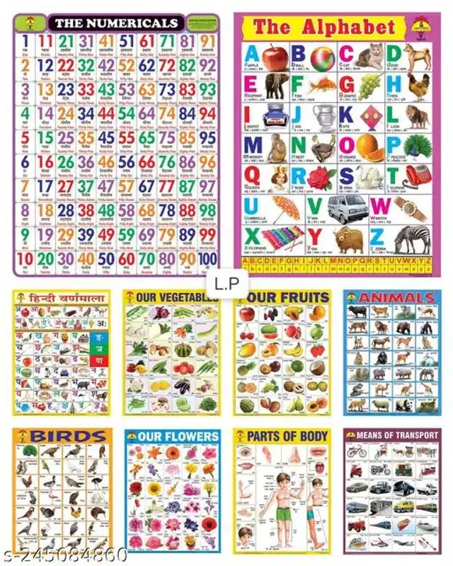Learning Laminated Wall Chart for Kids, Multicolor, Pack of 10