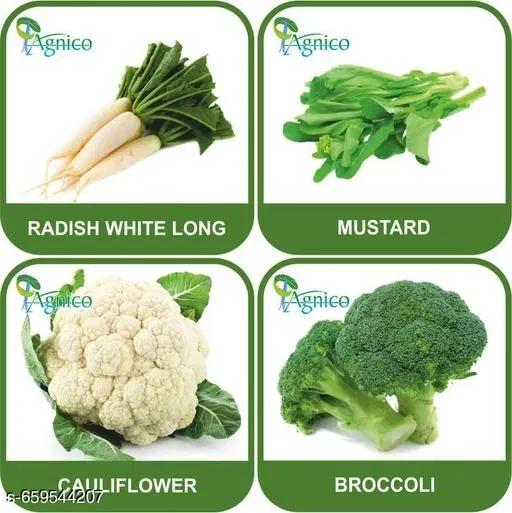 4 Vegetable Seeds Combo With Instruction Manual(Radish White Long/Mustard/Cauliflower/Broccoli)