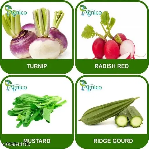 4 Vegetable Seeds Combo With Instruction Manual(Turnip/Ridge Gourd/Radish Red/Mustard)