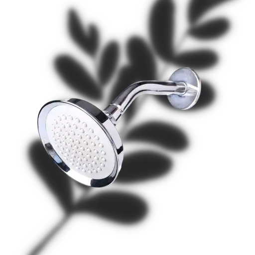 DALTON Sparrky Shower Head, Silver