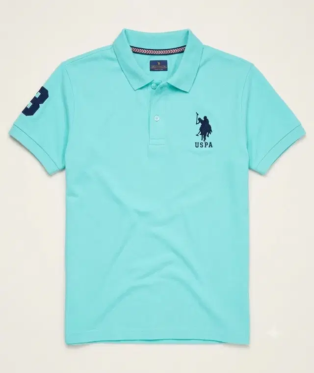 Crew Neck Solid T-shirts for Men (Aqua, L)