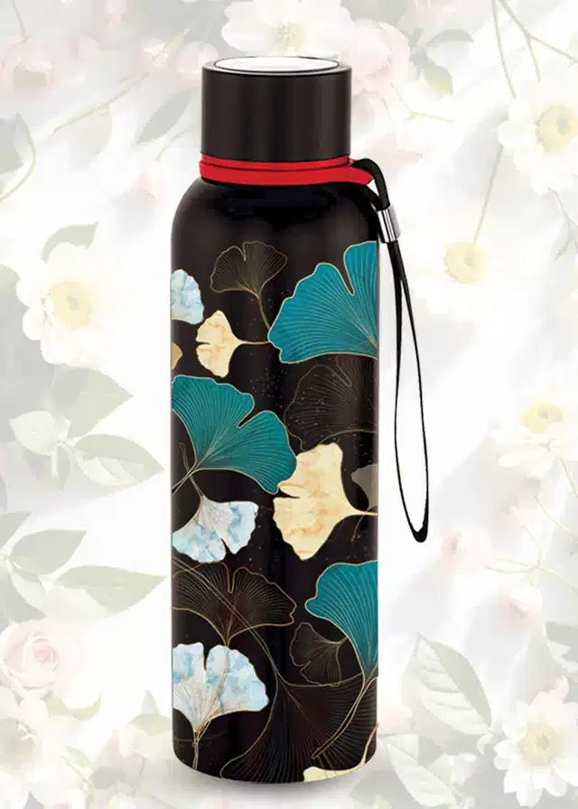 Stainless Steel Vacuum Insulated Water Bottle, Black, 750 ml