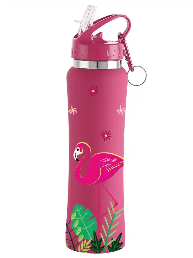 Stainless Steel Sipper Water Bottle, Pink, 750 ml