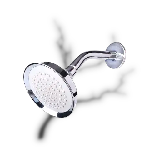 DALTON Sparrky Shower Head, Silver