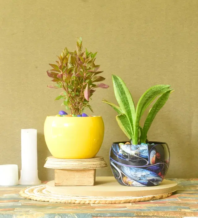 Metal Planter for Home, Multicolor, Pack of 2