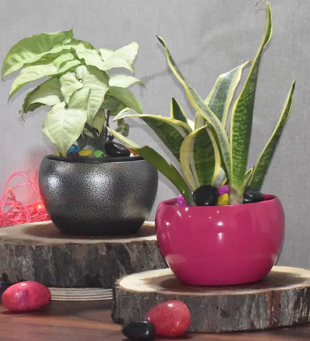 Metal Planter for Home, Silver & Maroon, Pack of 2