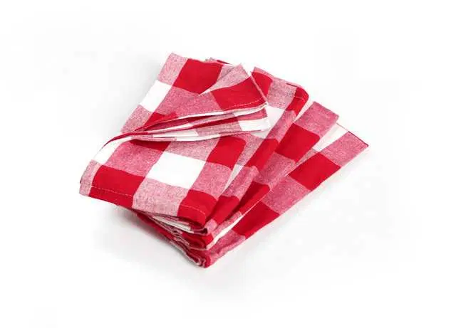 Brodees Cotton Check Kitchen Table Napkin, Pack of 4, Red and White, RI-3