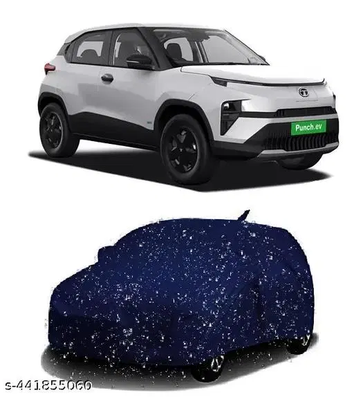 Taffeta Cover for Car, Multicolour