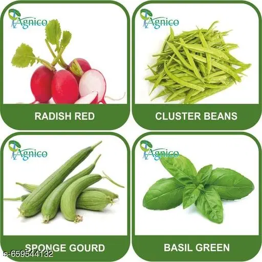 4 Vegetable Seeds Combo With Instruction Manual(Radish Red/Cluster Beans/Sponge Gourd/Basil Green)