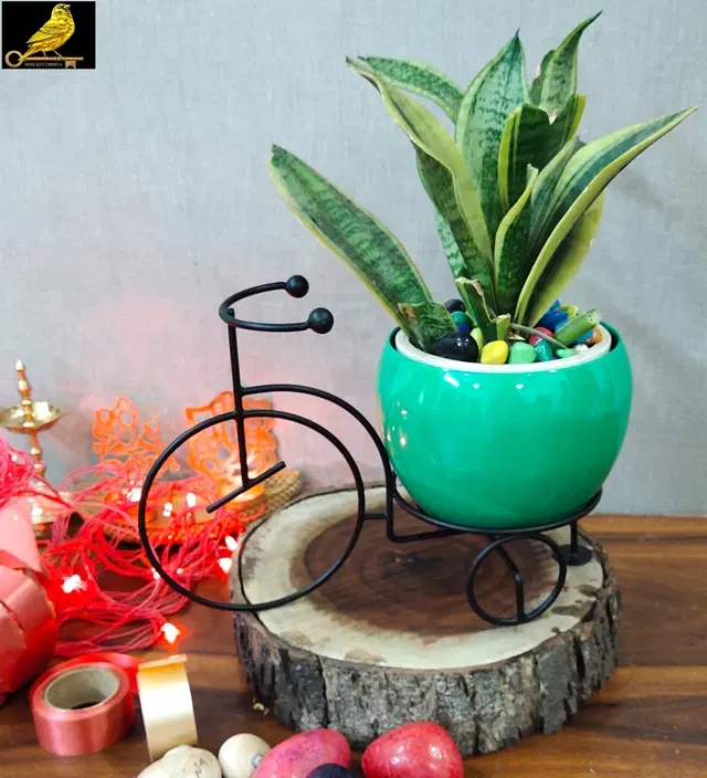 Metal Planter for Home, Black & Green, Pack of 2