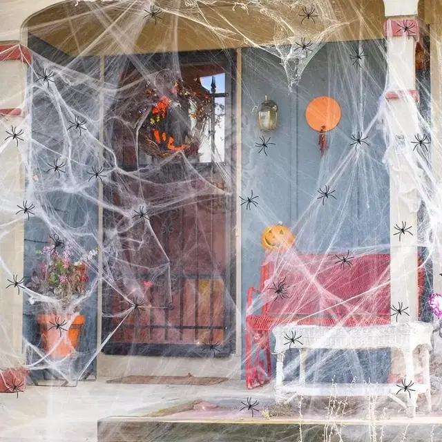 Picfest Halloween Spider Web