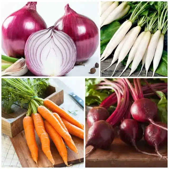 4 Variety of Vegetable Seeds, Combo of 4