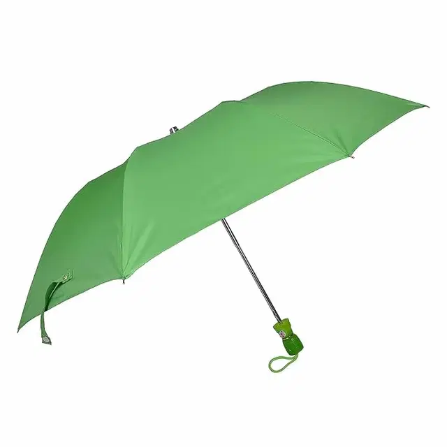 Portable Solid 2 Fold Umbrella, Assorted