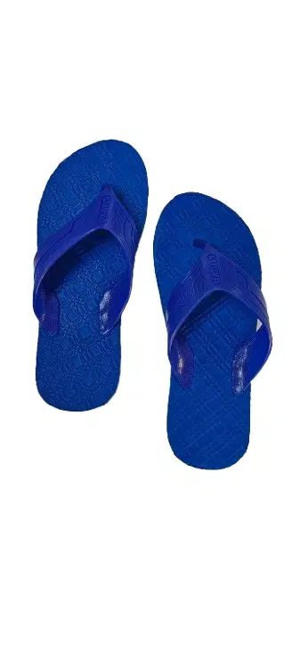 Flipflops for Men (Blue, 6)
