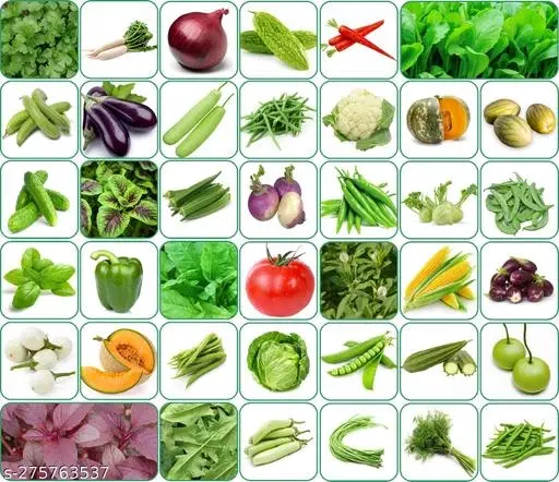 Aero Seeds Combo of 40 variety vegetable seeds with instruction manual.