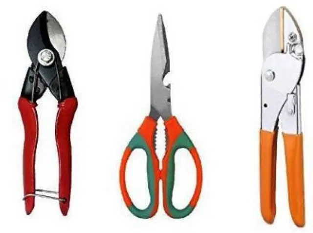 Gardening Tools Set, Multicolor, Set of 3