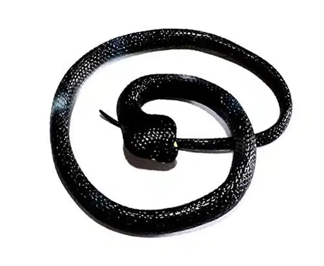 Rubber Toy Snake, Black